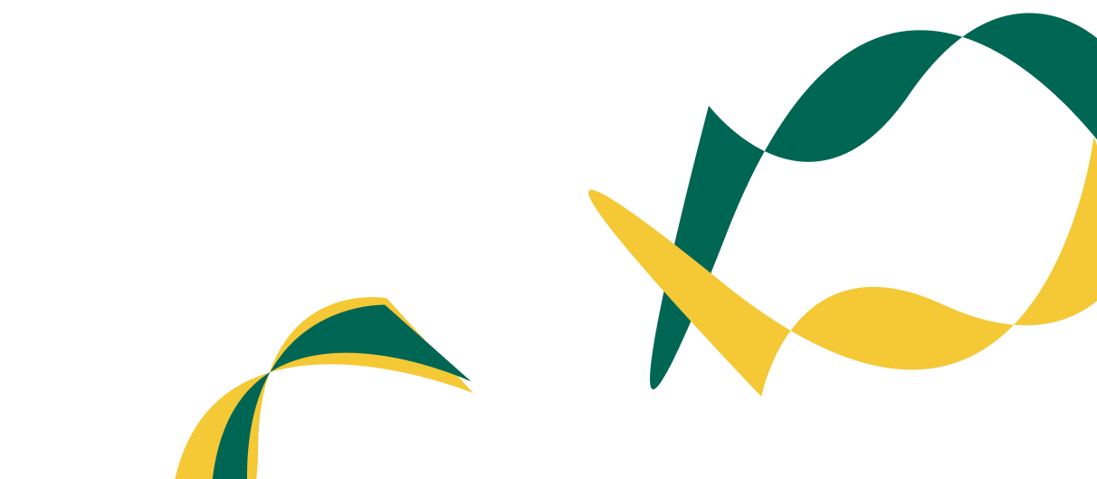 Expert Solutions for Corporate  Financial Success. - 黑白体育直播APP